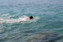 gal/cro 08/_thb_small-IMG_4929.JPG
